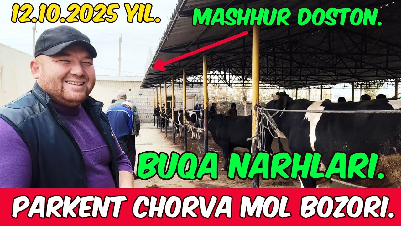 Toshkent vil, Parkent tumani, Boyqozon qoʻrgʻoni, Chorva Mol Bozori, Buqa Narhlari.