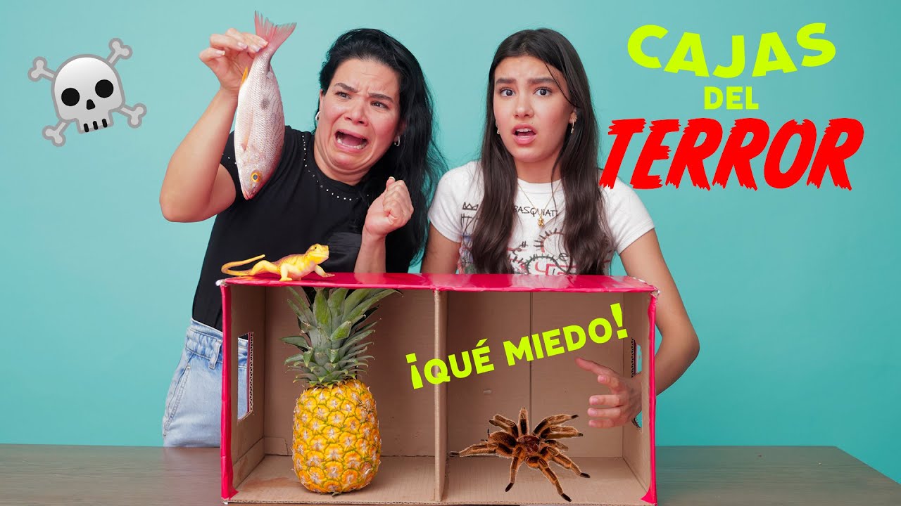 METEMOS LA MANO A LA CAJA DEL T3RR0R | AnaNANA TOYS