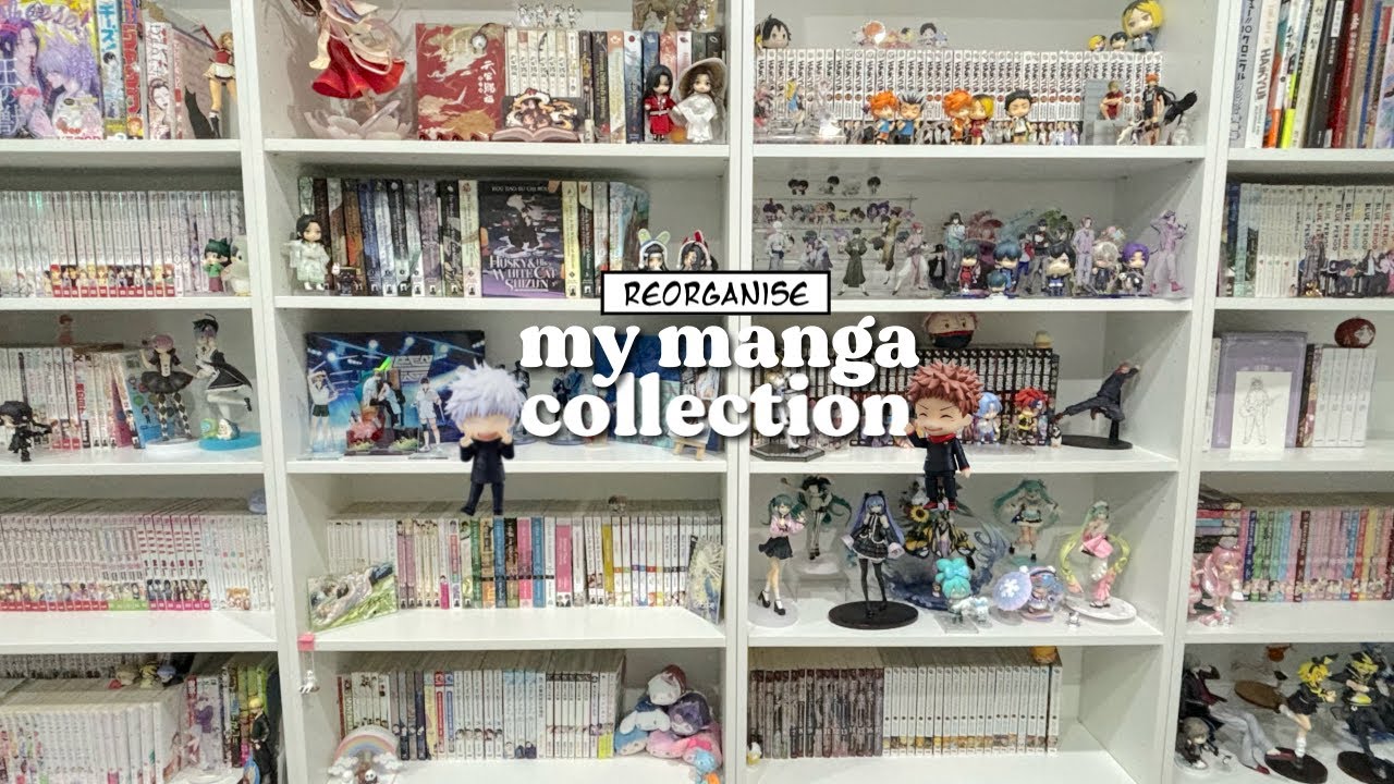 reorganising my 600+ manga collection 𝜗𝜚
