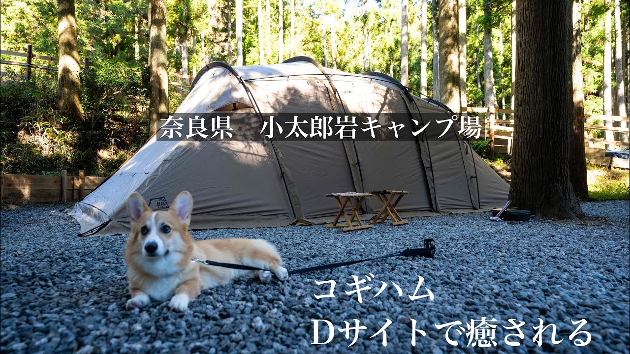 小太郎岩キャンプ場　コーギキャンプ