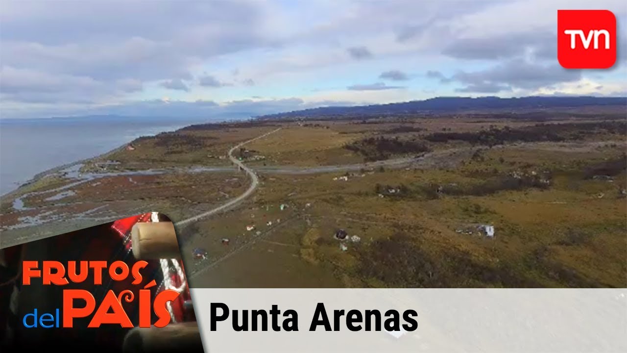 Frutos del País - Punta Arenas