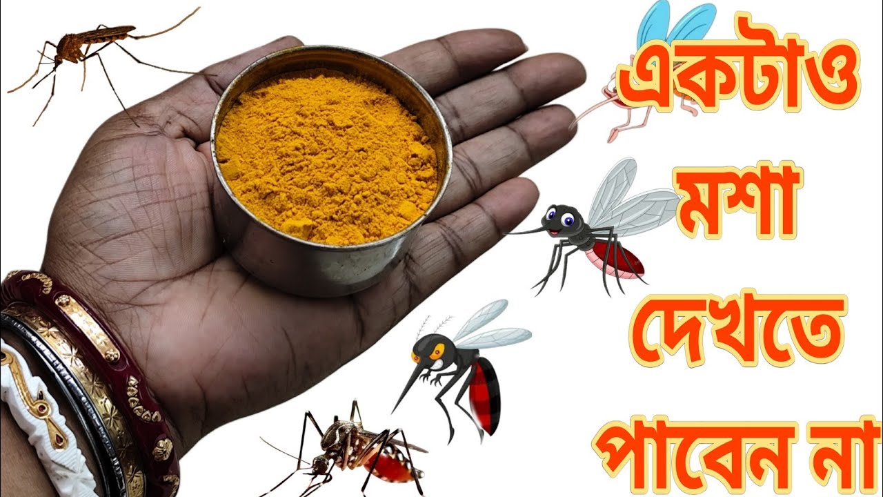 হলুদের মধ্যে এই জিনিসটি মিশিয়ে রেখে দিন 😱 জীবনে কখনো বাড়িতে আর মশা দেখতে পাবেন না
