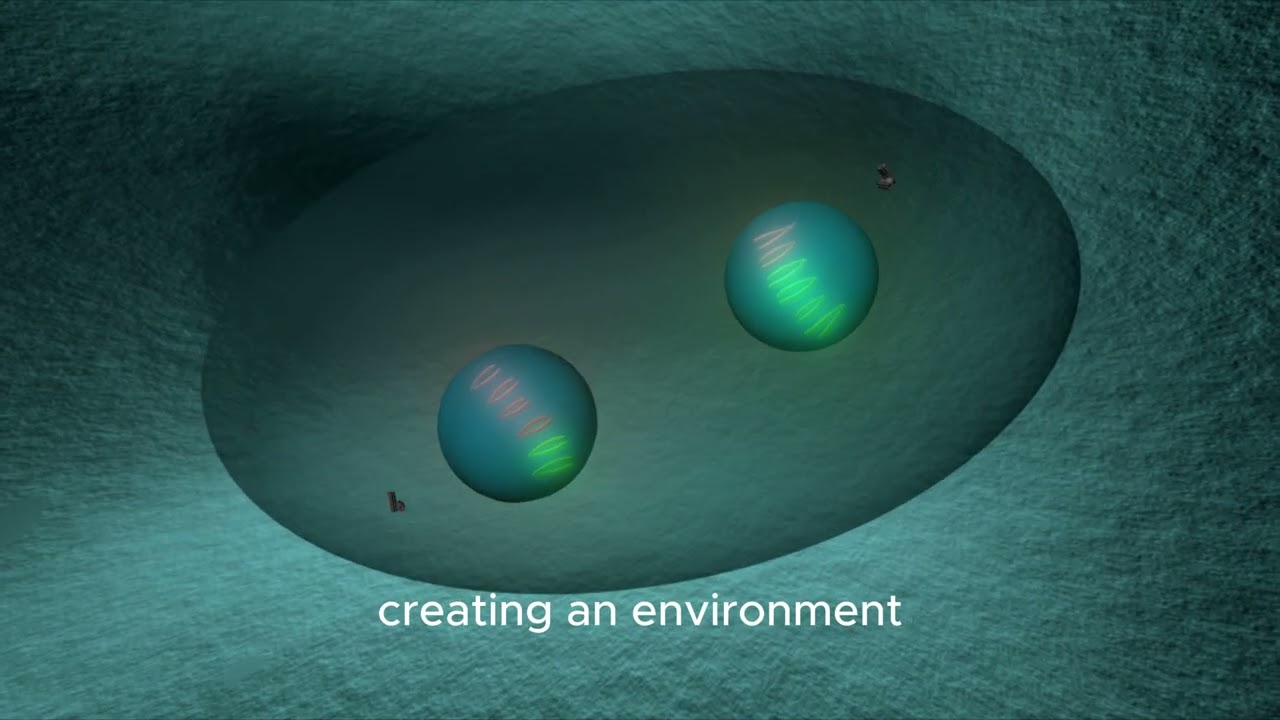 about marine growth prevention system