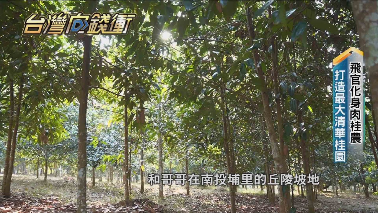 飛官化身肉桂農　打造最大清華桂園20210320【台灣向錢衝】PART1