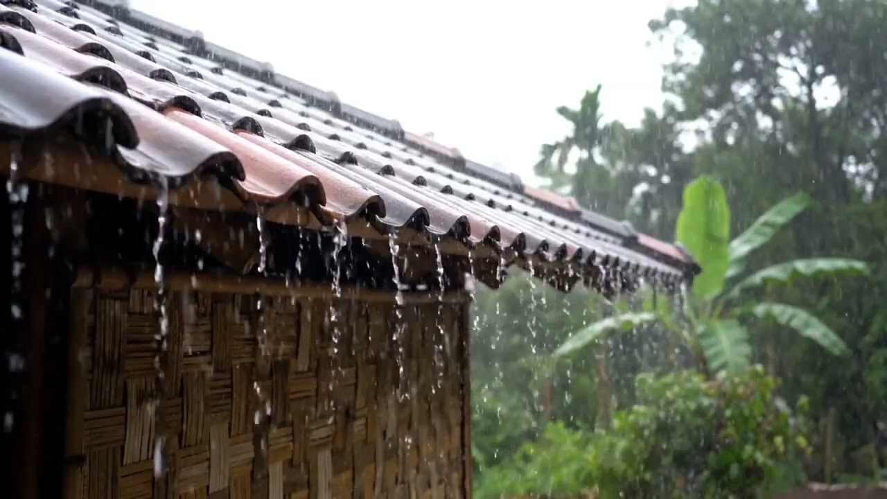 Can’t Sleep? Try This 🌧️ Soft Village Rain White Noise for Deep Sleep (No Thunder)