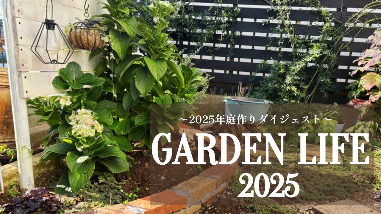 【2025年庭作りの記録】ゼロからの庭作り2025｜砂利の小道｜レンガの花壇｜家庭菜園｜アイアンフェンス｜芝生張り｜室外機カバー｜ビオラの種まき