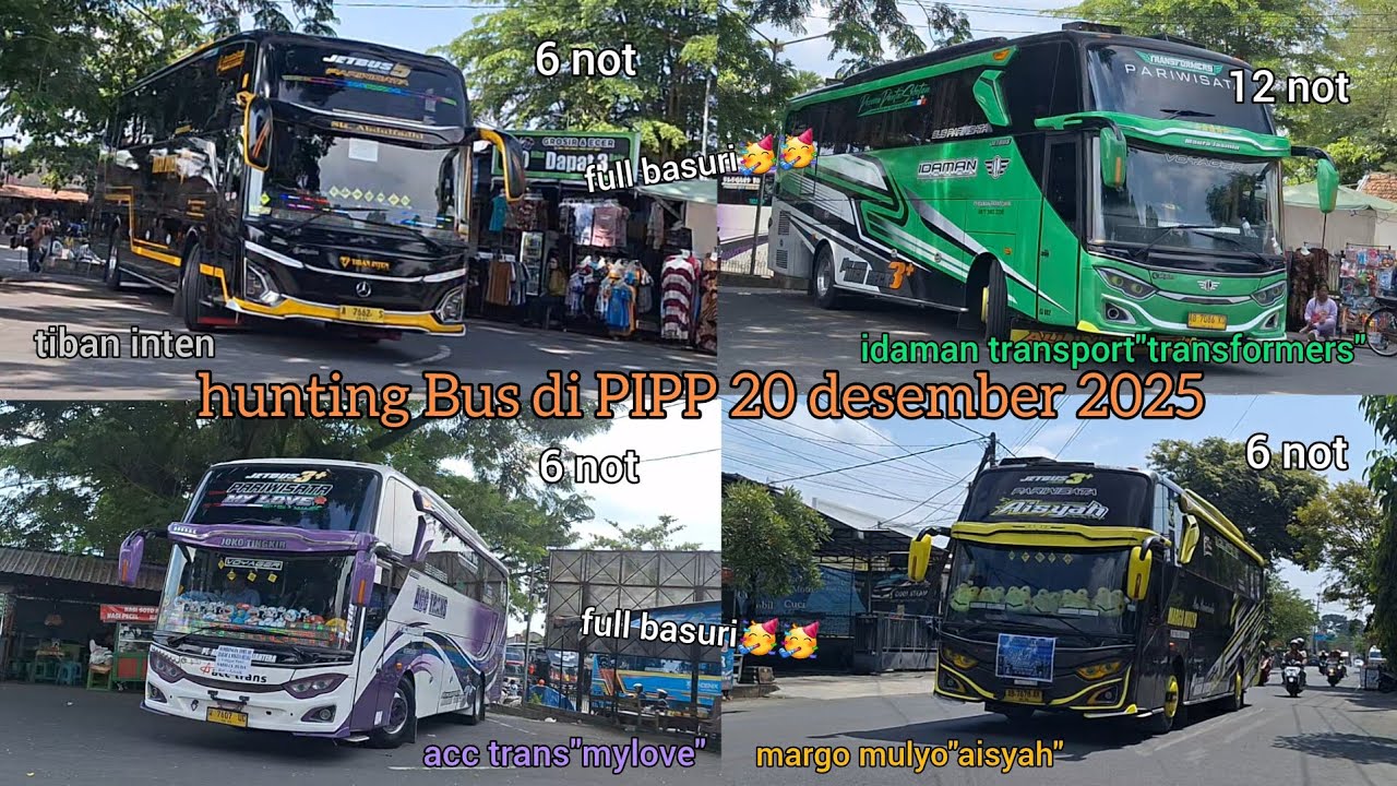 hunting Bus di PIPP 20 desember 2025.full basuri!!