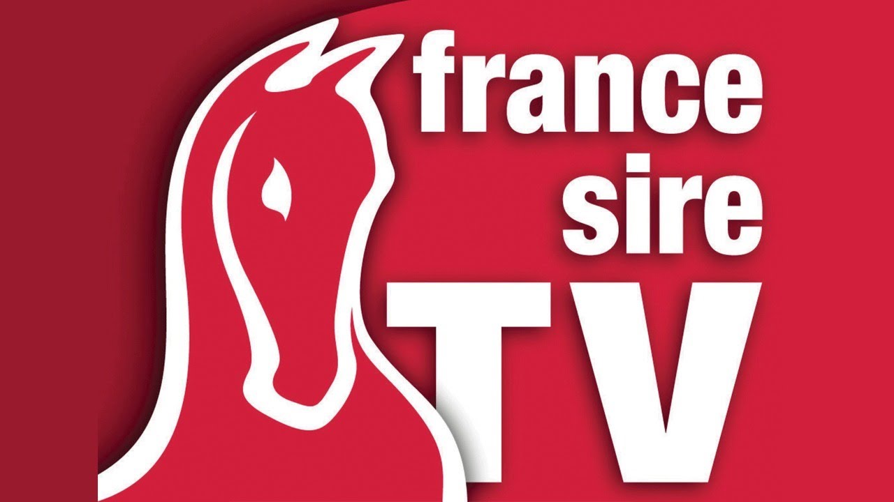 Vente Arqana d'élevage 2021 - J1
