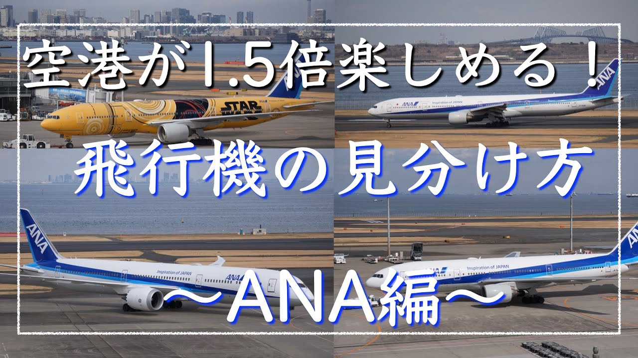 空港が１.5倍楽しめる！飛行機の見分け方！【ANA編】