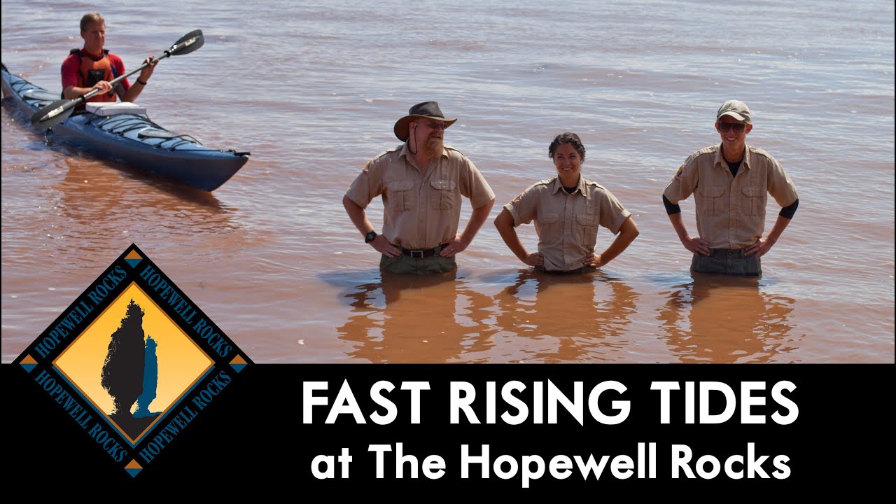Fast Rising Tide at The Hopewell Rocks