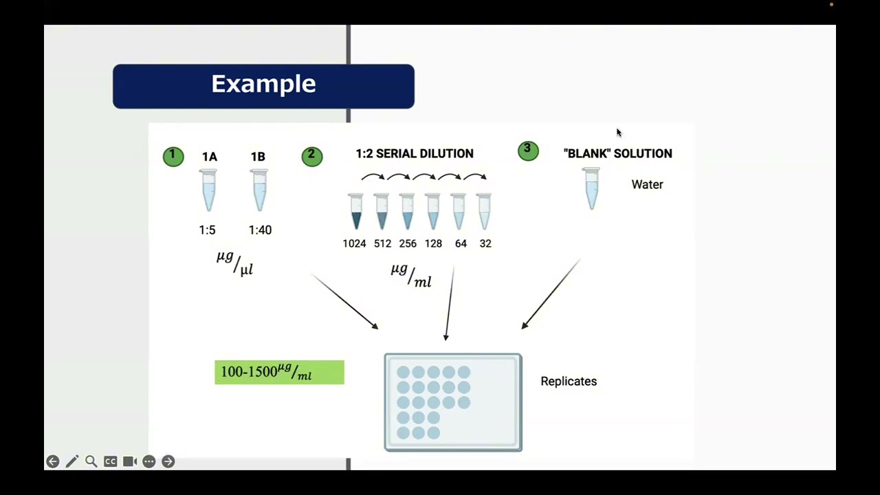 Standard curve calculations for BCA Protein assay