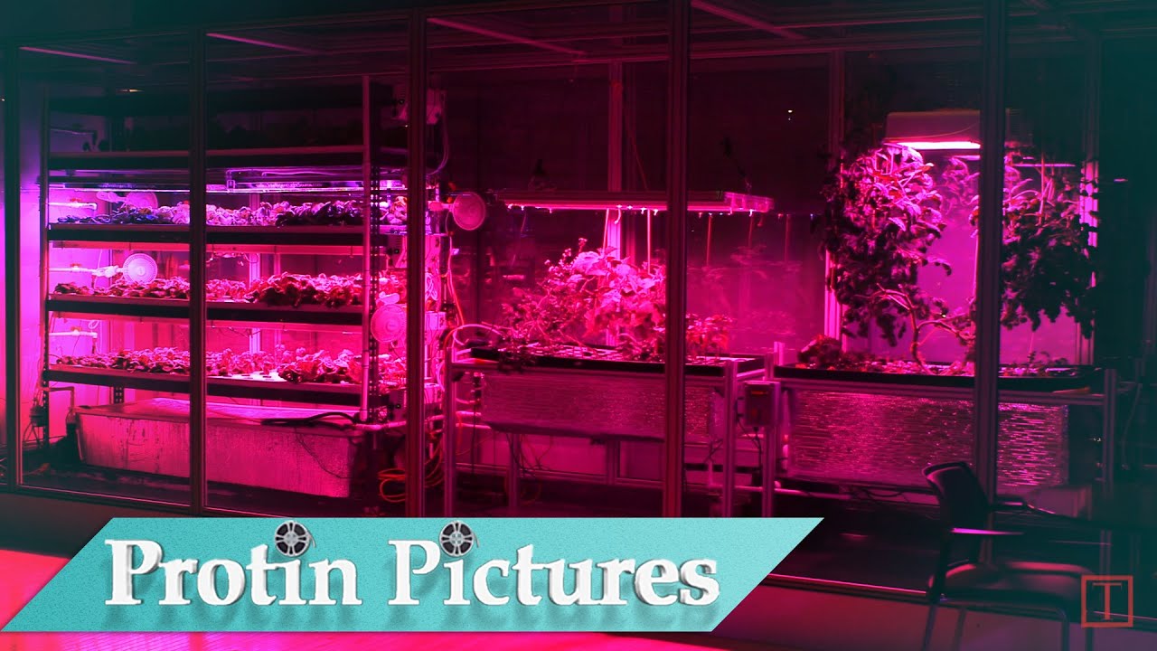 The Ferrari of Farming: Aeroponics