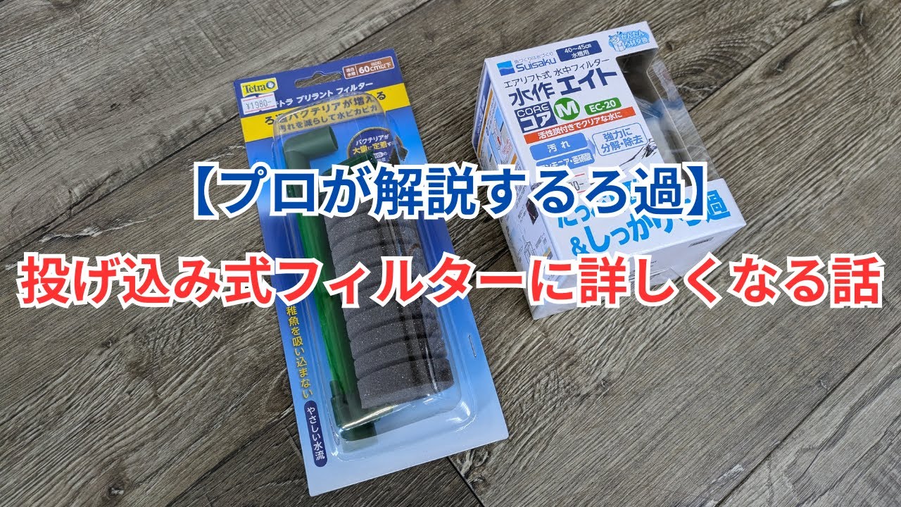 【ろ過の基礎のお話】投げ込み式フィルターの特徴、ろ材交換の目安などを詳しく解説！