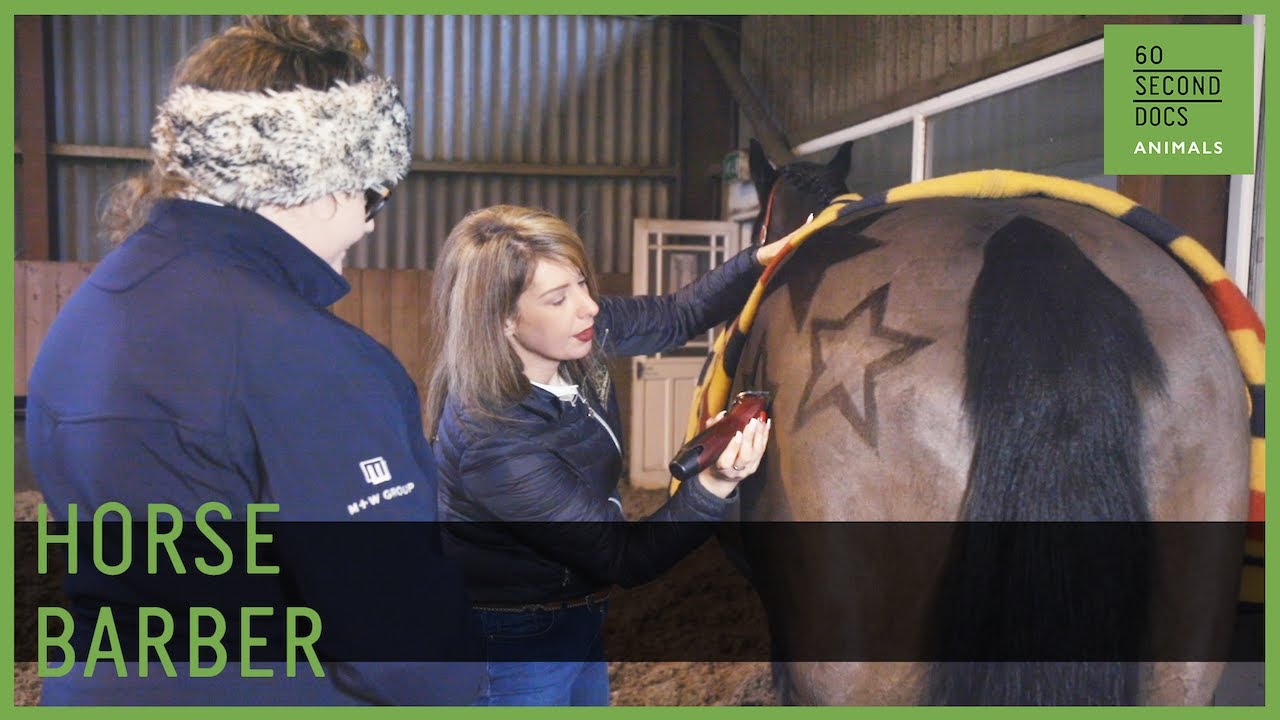 The Barber Giving Horses Makeovers // 60 Second Docs