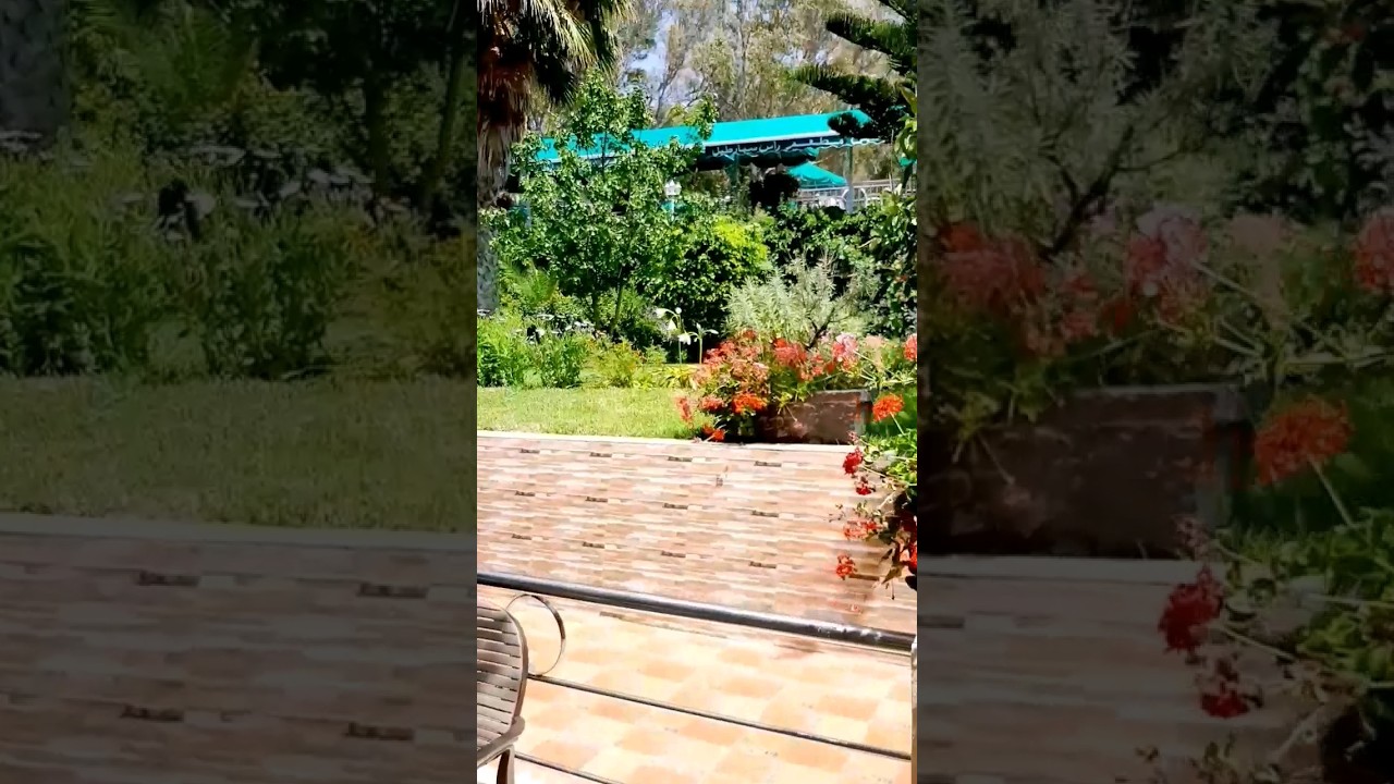 مطعم كاب سبرطيل/طنجة #أفكار_ليلى