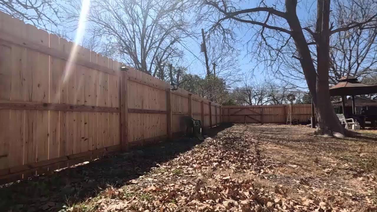 Monday backyard live stream