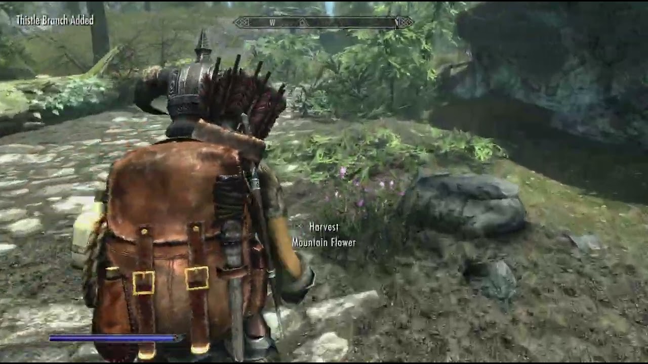 Skyrim_20260313001242