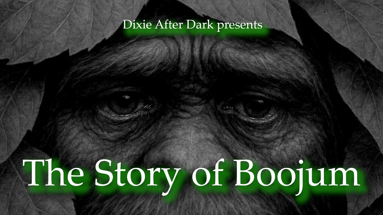 The Story of Boojum