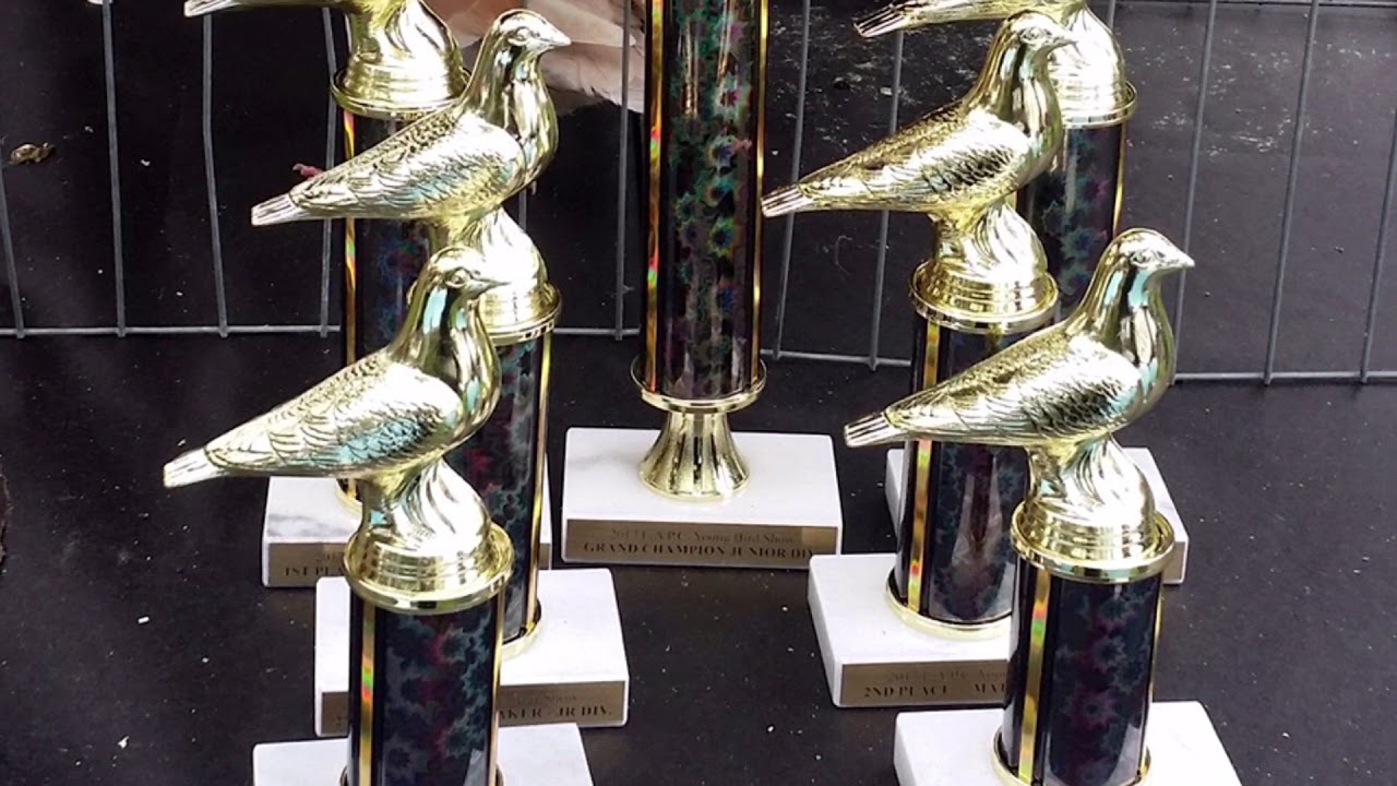 LAPC's 2017 Young Bird Show
