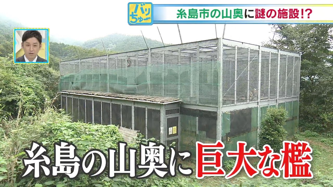 【バリちゅー】糸島の山奥に謎の施設が？！（2022/10/25）