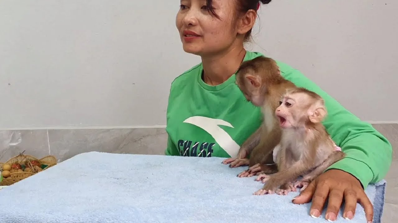 Cute Both monkeys so happy to be with mom