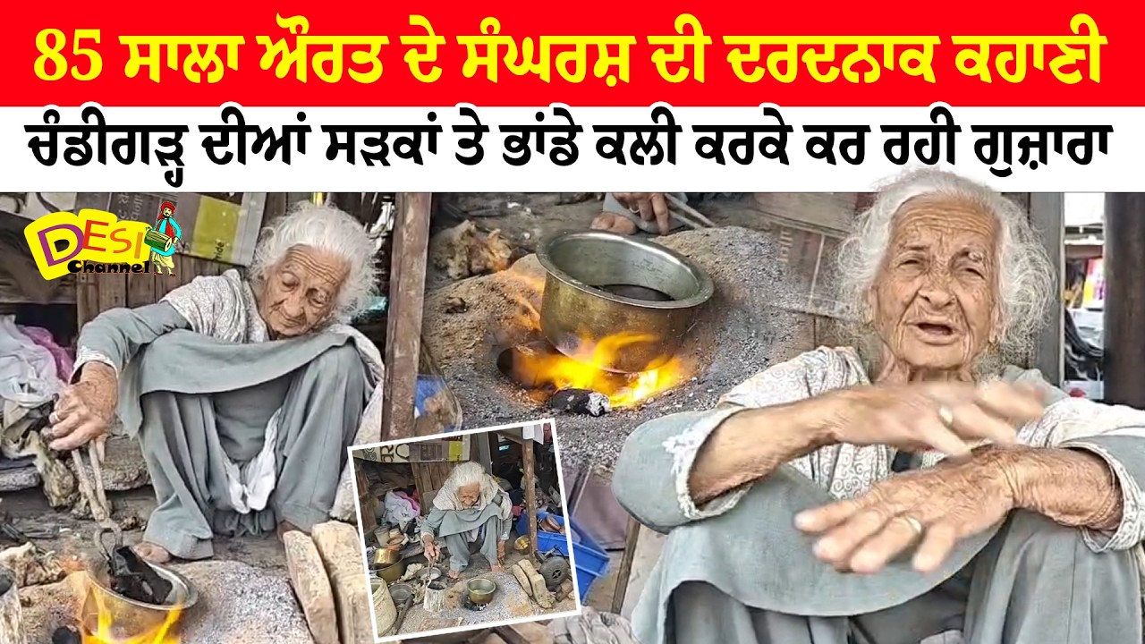 85 Year Old Woman Struggle Chandigarh News | Old Lady Washing Utensils Chandigarh Sector 22 | News