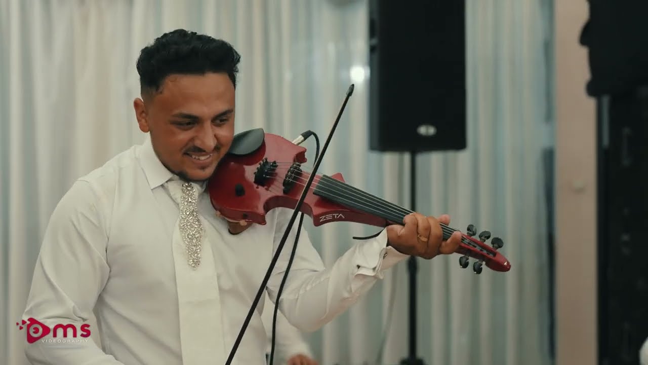 Sergiu Varga si Formatia Paul Hamza  - Ginerica la vioara - LIVE - Nunta Sergiu si Klementina