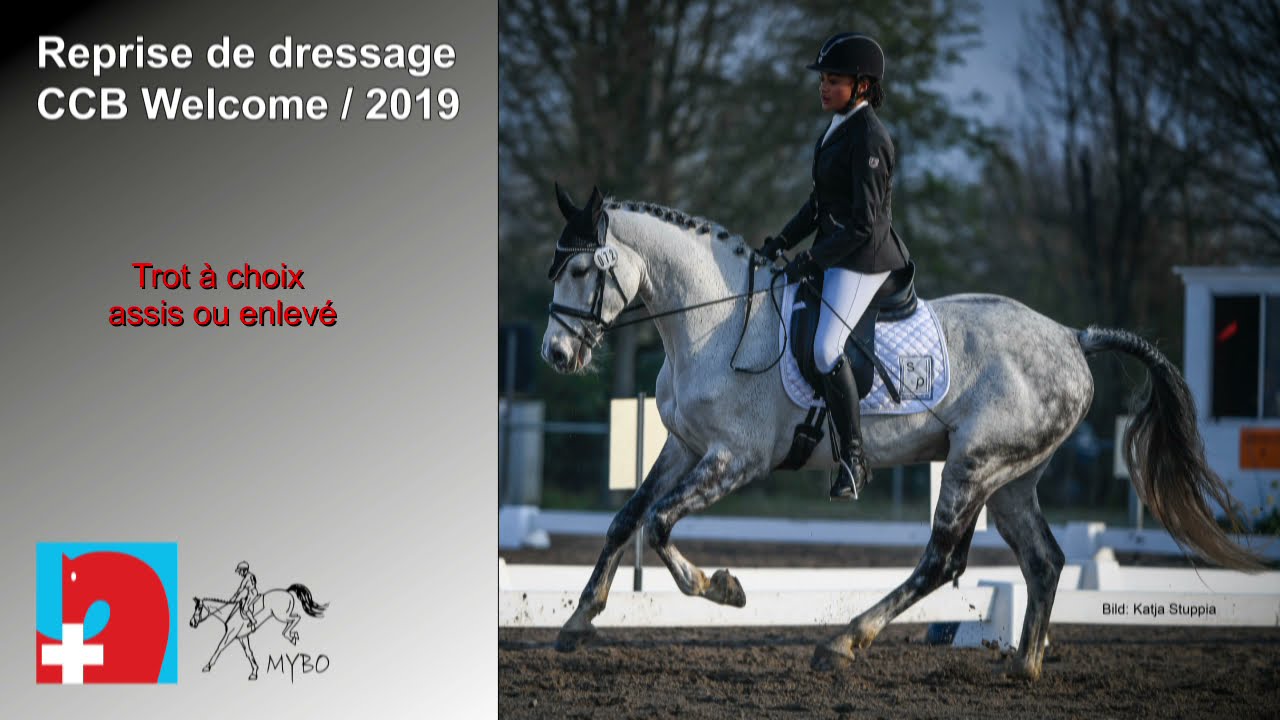 Programme de dressage 2021 CCB Welcome Français