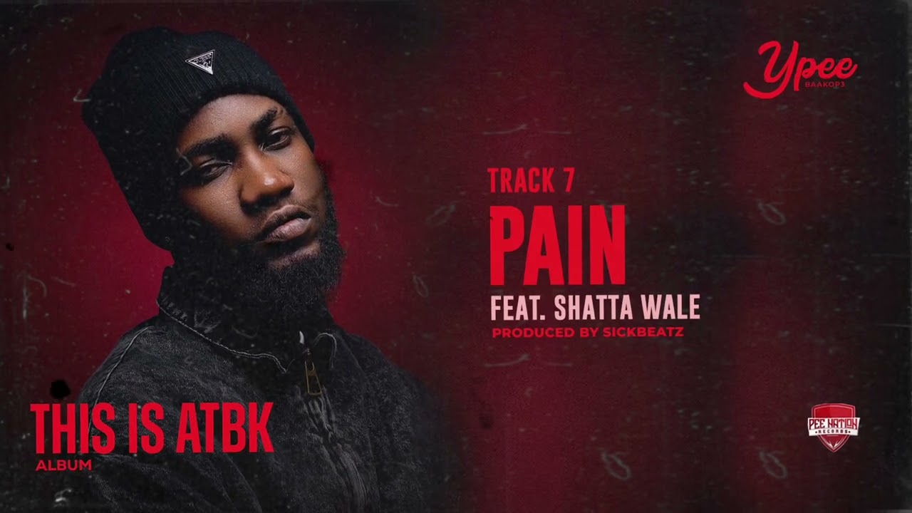 Ypee - Pain Ft. Shatta Wale (Audio Slide)