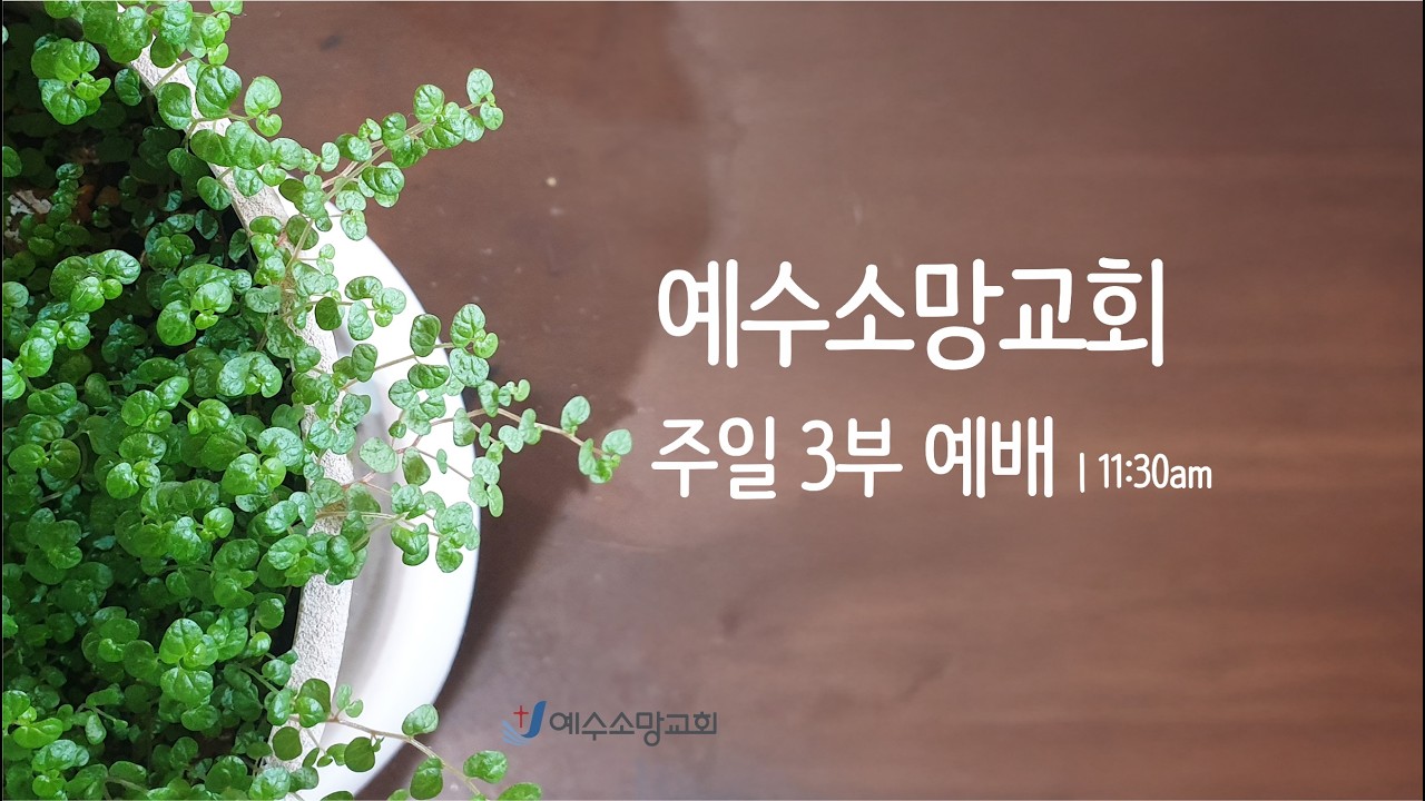 예수소망교회 2026년 2월 8일  주일 3부예배 / 김세업 목사