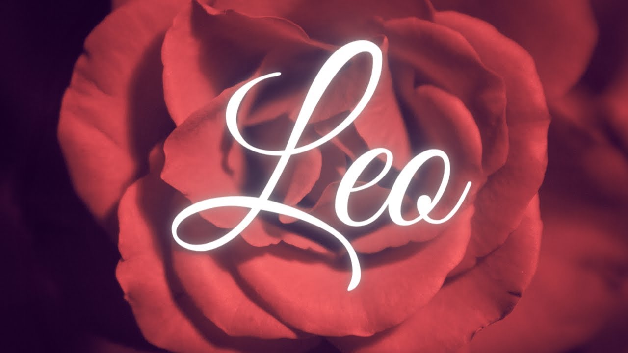 LEO LOVE TAROT TODAY - OFFER INCOMING AND IT'S LIFE CHANGING!! ARE YOU READY??