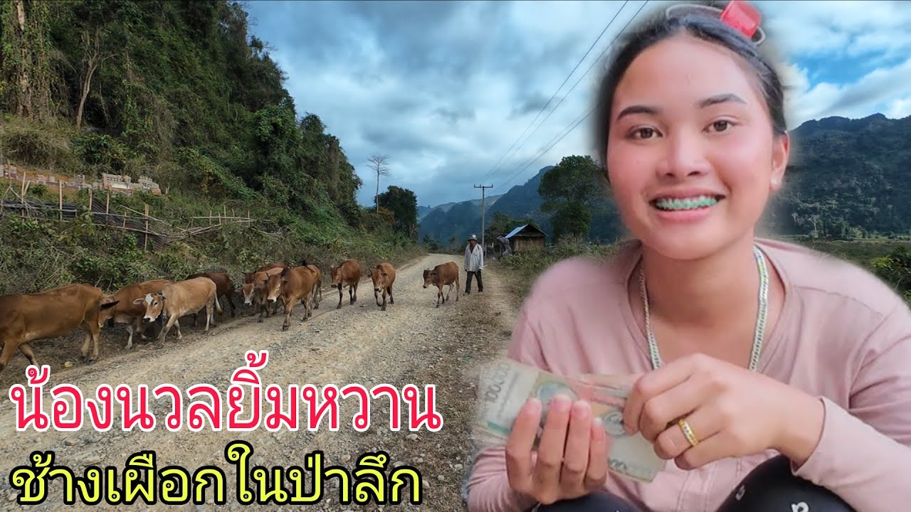 น้องนวลดีใจมากยิ้มหวานสุดๆ#ช้างเผือกในป่ารืก