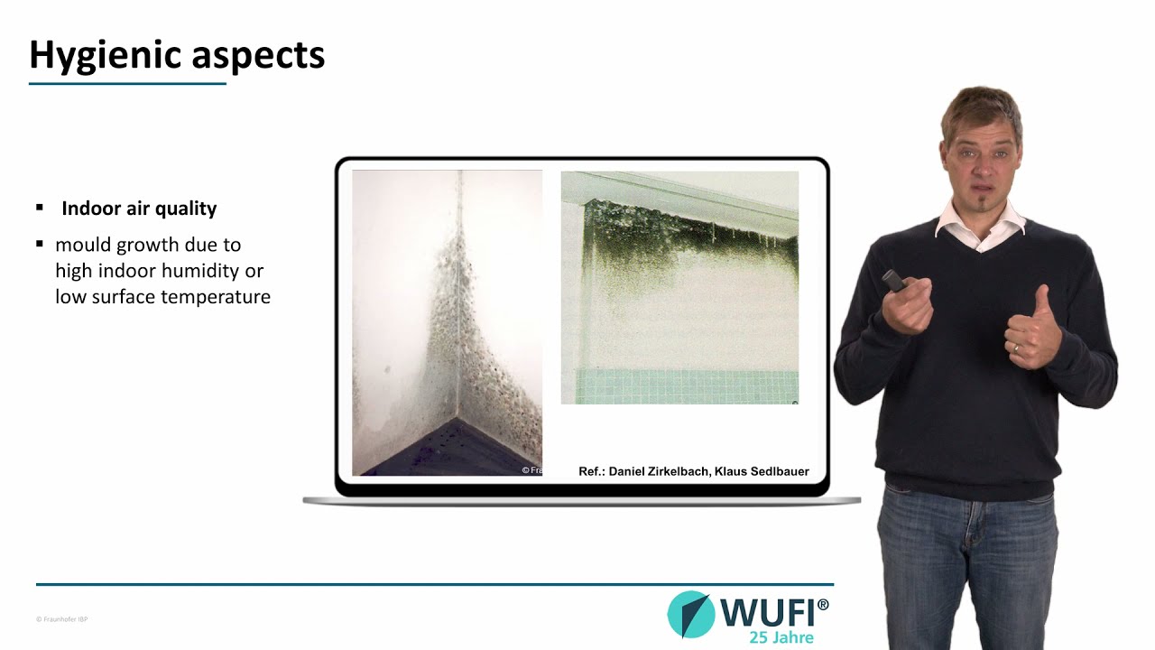 Hygrothermische Leistungsbewertung in der Baupraxis – Auswirkungen der Feuchtigkeit