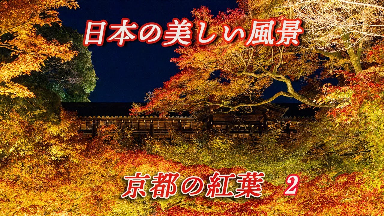 日本が世界に誇る絶景、京都。京都が一番綺麗に映える紅葉の季節。2024年晩秋。紅葉が鮮やかな京都の神社仏閣20か所の動画、後編として9か所を収録。今年の京都の紅葉巡りの参考に・・・
