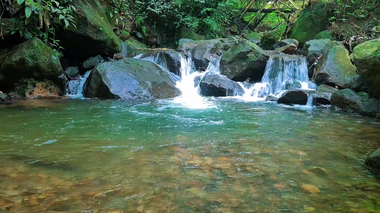 Soothing Moonlight River – Gentle Water Ambience for Deep and Restorative Sleep