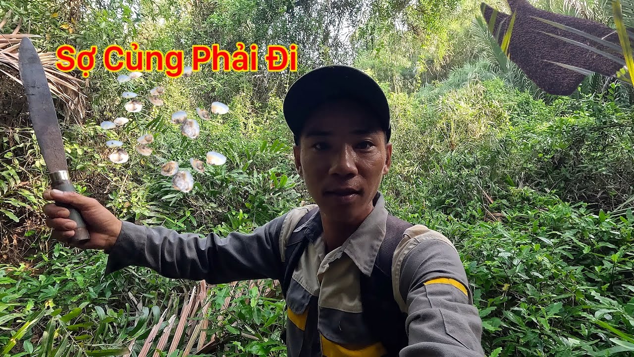 CÓ CAN ĐẢM LẮM MỚI DÁM VÀO KHU NÀY ĐI LUỒNG ONG BẮT CUA