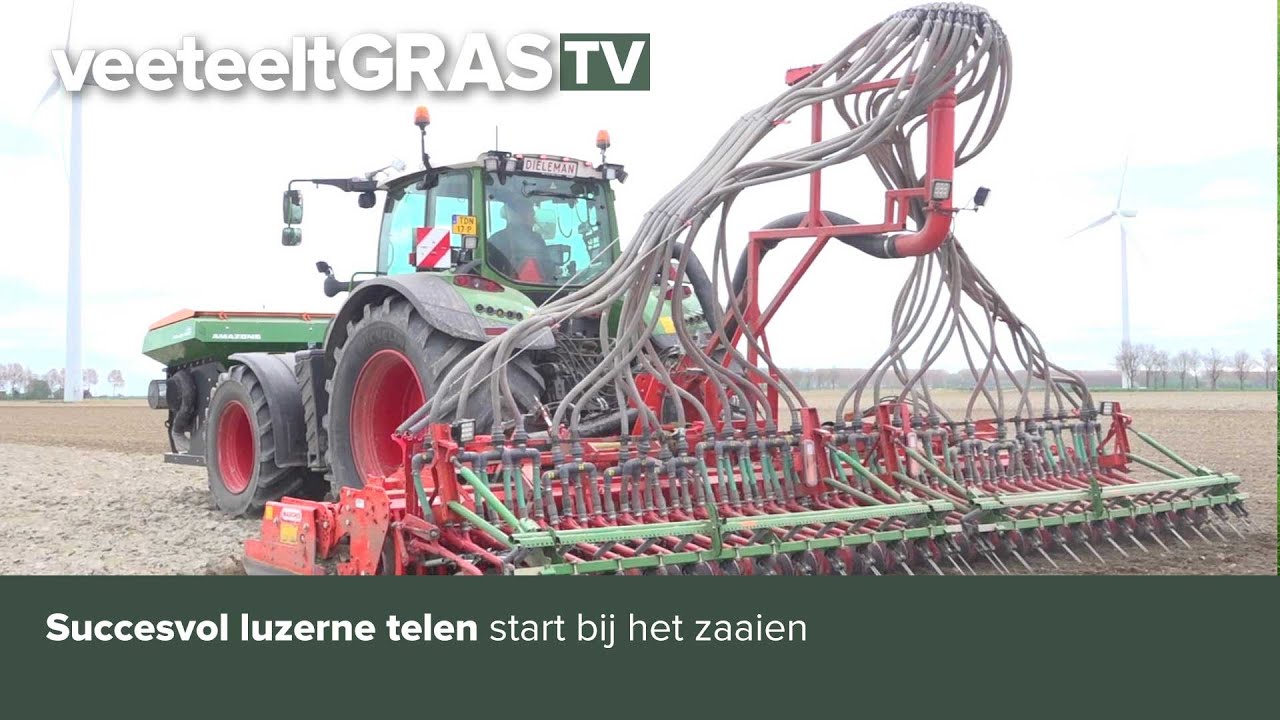 Succesvol Luzerne telen start bij het zaaien