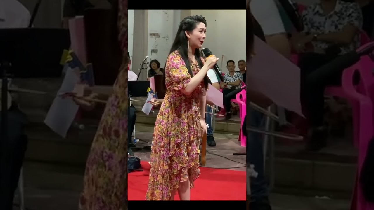 《杜十娘·朽木误当梧桐树》 陈婷婷 潮剧演唱 Teochew Opera