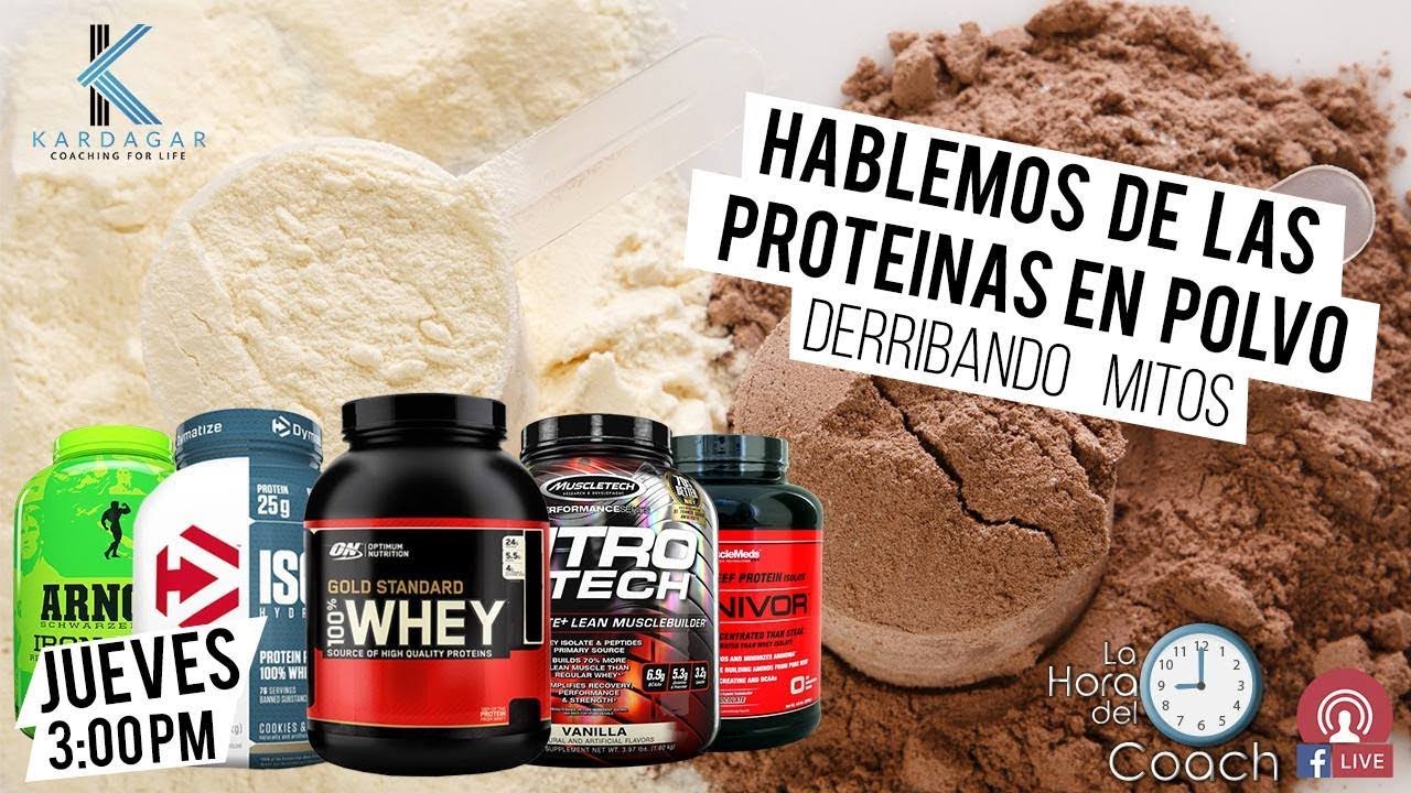 MITOS Y REALIDADES DE LAS PROTEÍNAS EN POLVO