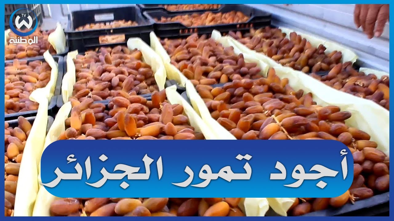 سوق التمور في  بلدية الدوسن ولاية أولادجلال من أحسن أسواق  الوطنية