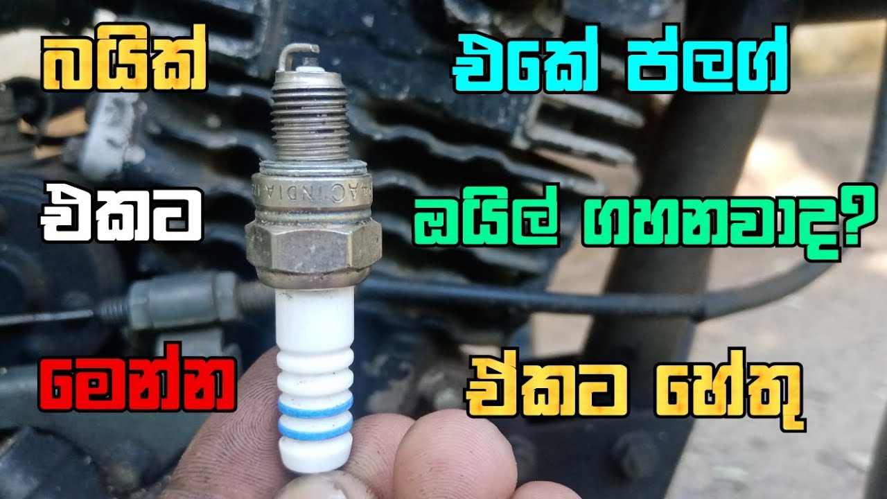 ප්ලග් එකට ඔයිල් එනවද ? Piston With Anu Bro