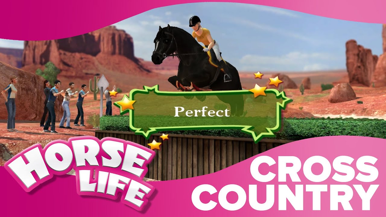 World Cross Country | Horse Life 2 Competitions 🏆