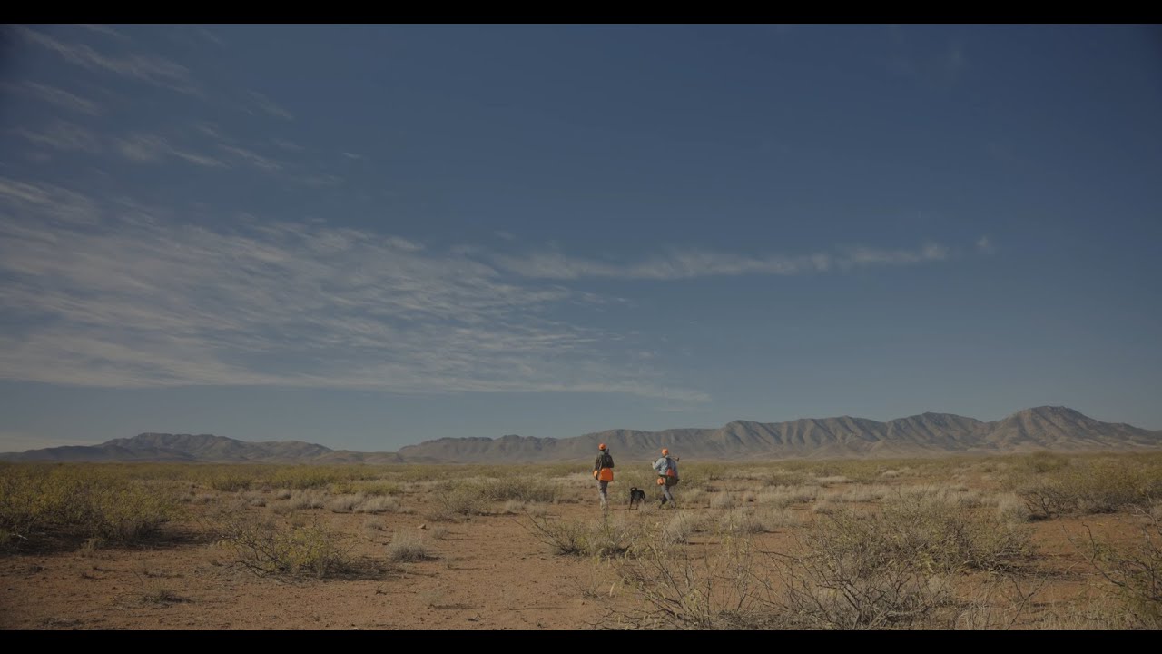 Охота на перепелов в пустыне с Dave Brown Outfitters