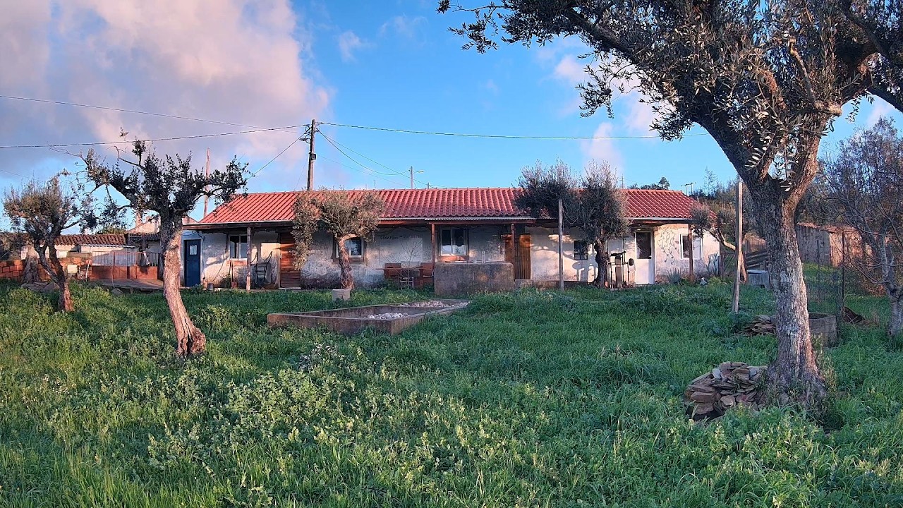 358 - A Beautiful Day in An Abandoned Village