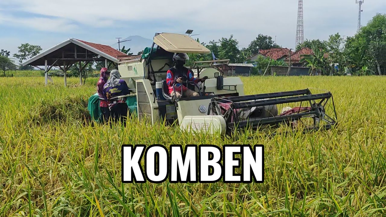 Panen Padi Pakai Komben [Kombi] di Desa Slendra Gegesik Cirebon 