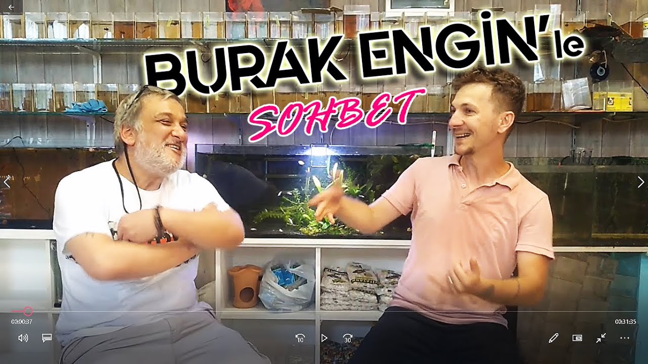 Burak Engin'le Harika Bir Sohbet - Türkiye'de Betacılık - Beta balığına dair her her şey videoda!