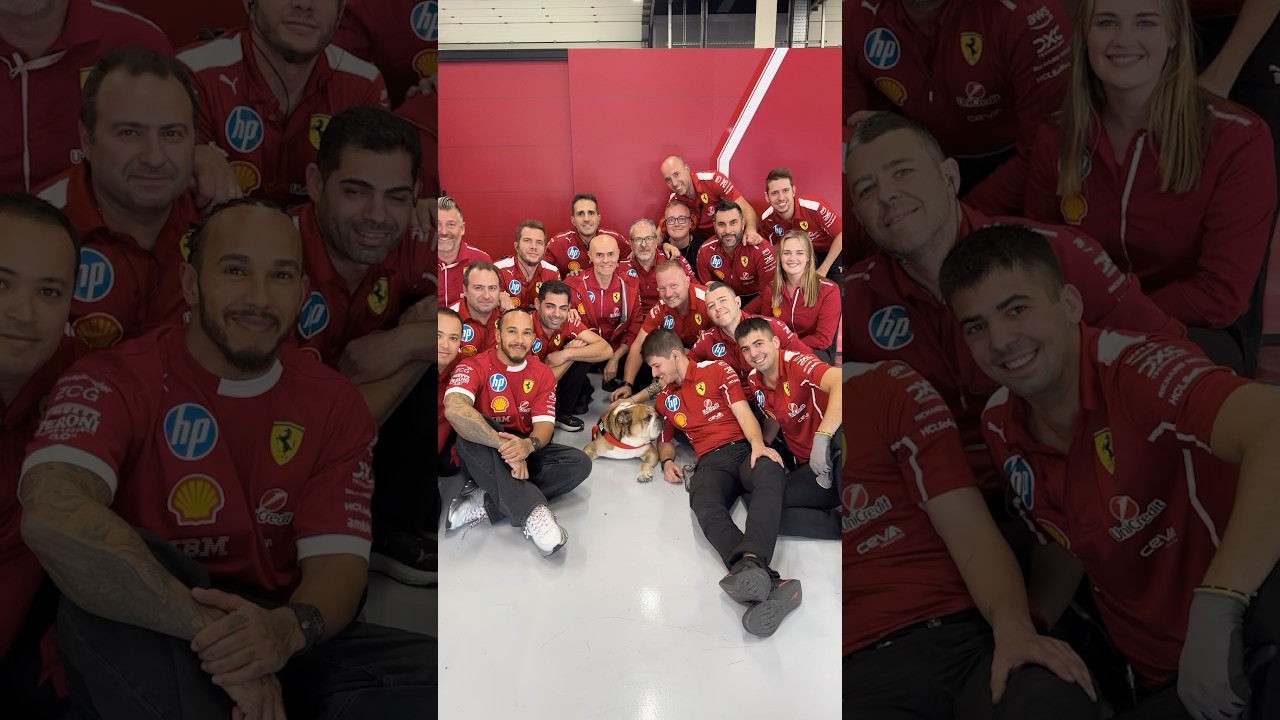 Roscoe meets the team for the first time 🫶#F1Shorts #ScuderiaFerrari