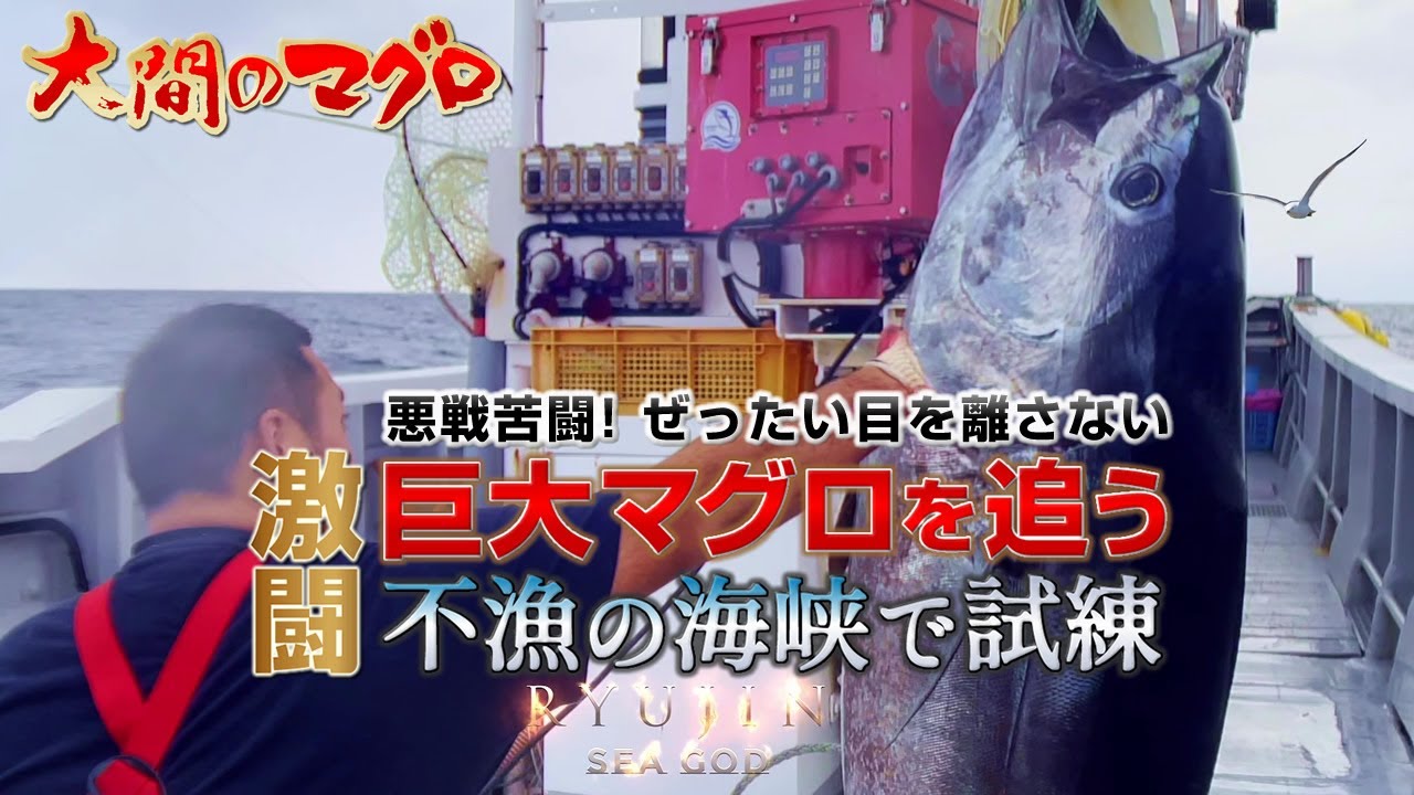 大間まぐろ~不漁の海で巨大マグロを追う~［竜神特番］ぶっつけ 二刀流 トローリングダブル漁法 巨大鮪 マグロハンター 漁師 マグロ釣り｜2023 RYUJIN｜龍神りゅうじん おおま せいほうまる