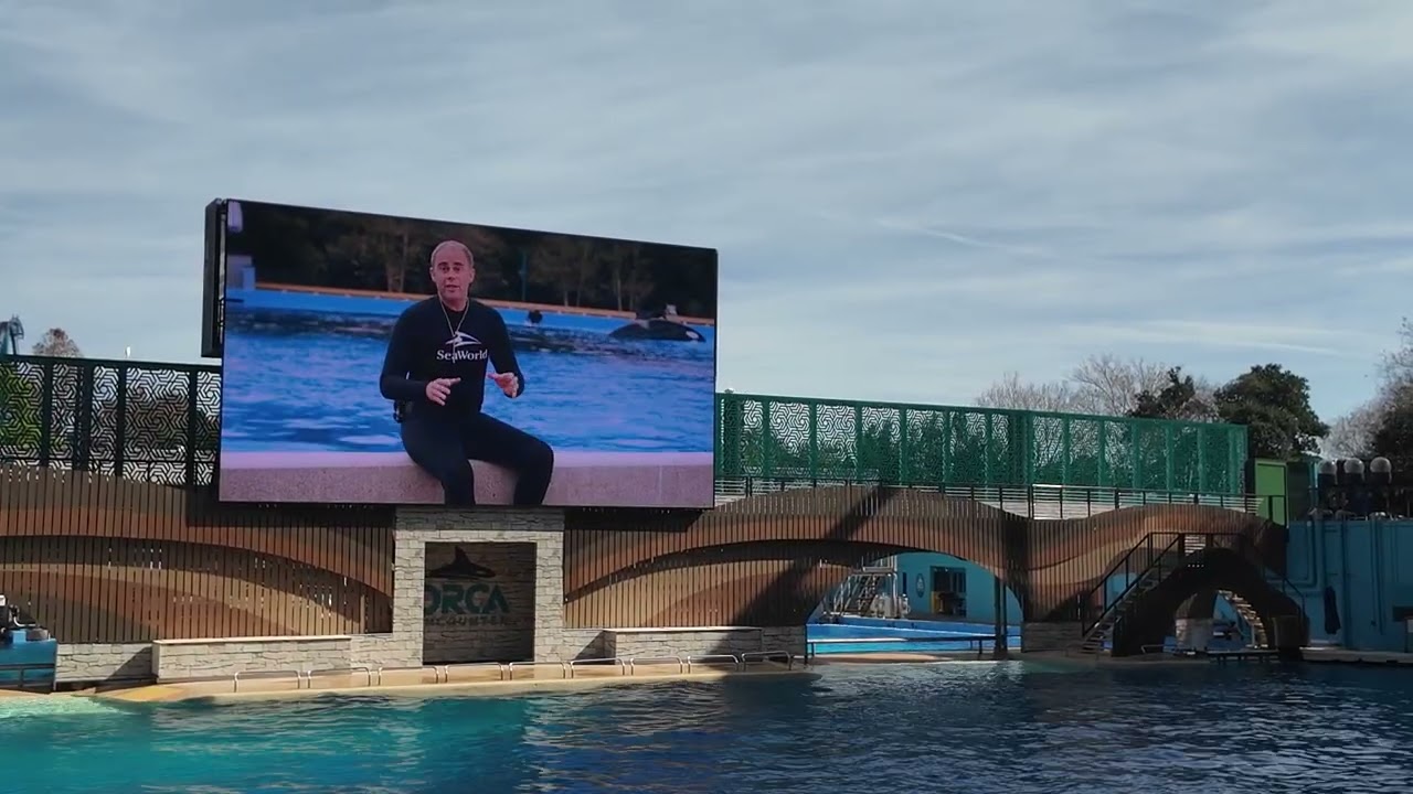 SeaWorld Orlando Orca Encounter  Educational, Inspiring & Fun for the Whole Family