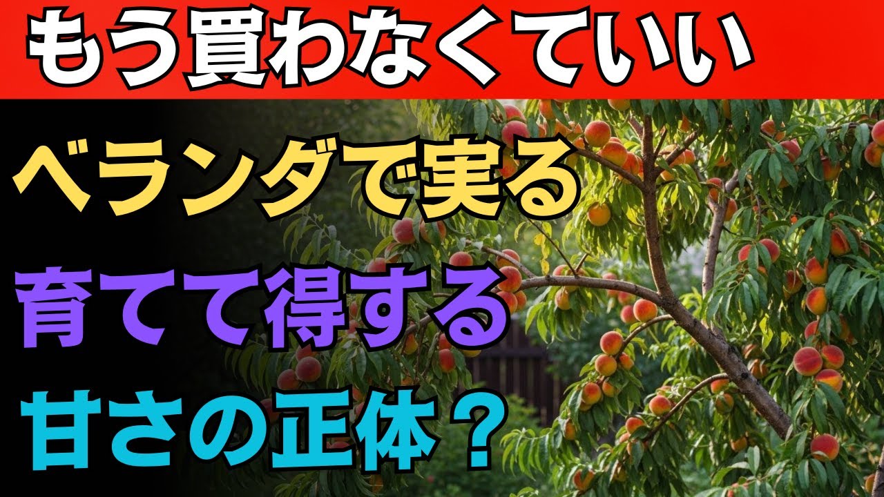 ９９％の人が知らない！狭い場所でも驚くほど実る果樹ベスト１０！庭なしでも収穫が止まらない理由とは？
